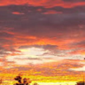 Meet your Posher, Noelle